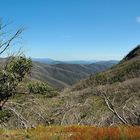 "Alpine National Park"