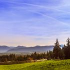 alpine pasture