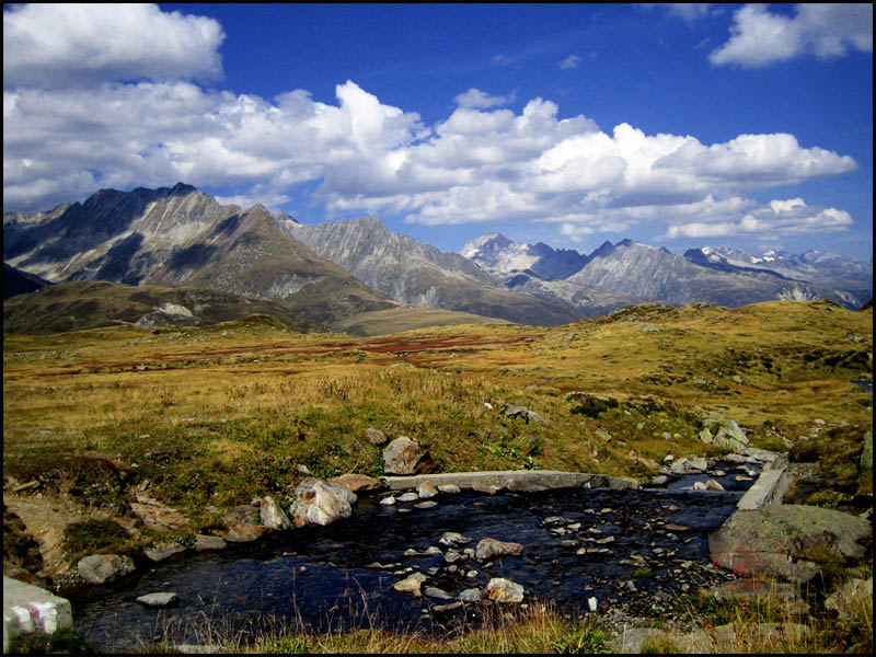 Alpine Scenery