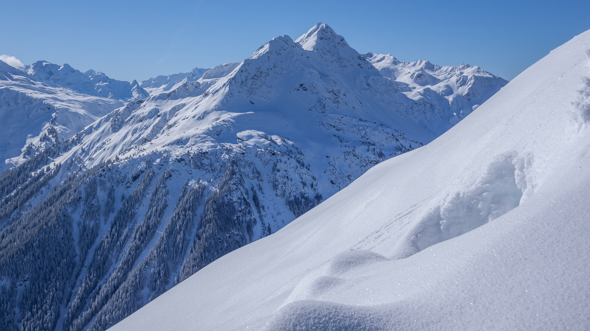 Alpine Schneeschönheit