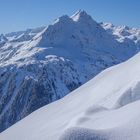 Alpine Schneeschönheit