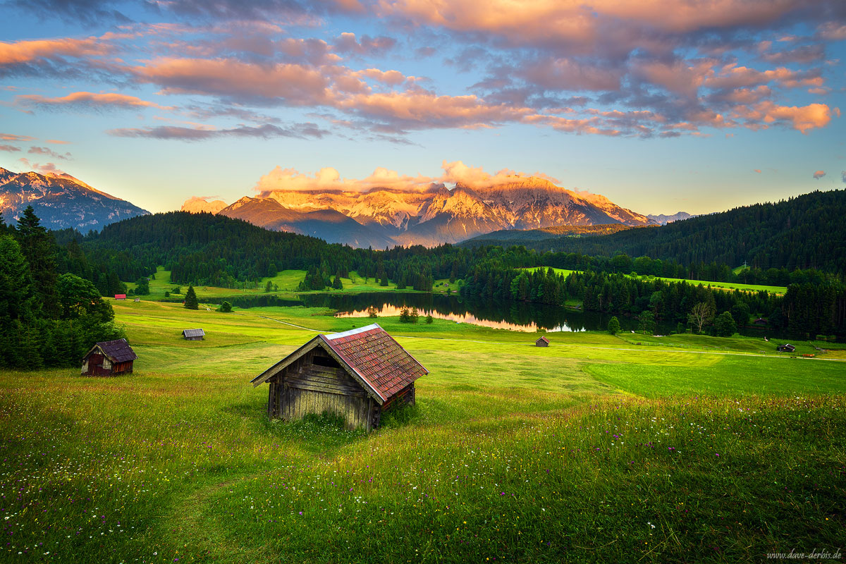 Alpine Schönheit