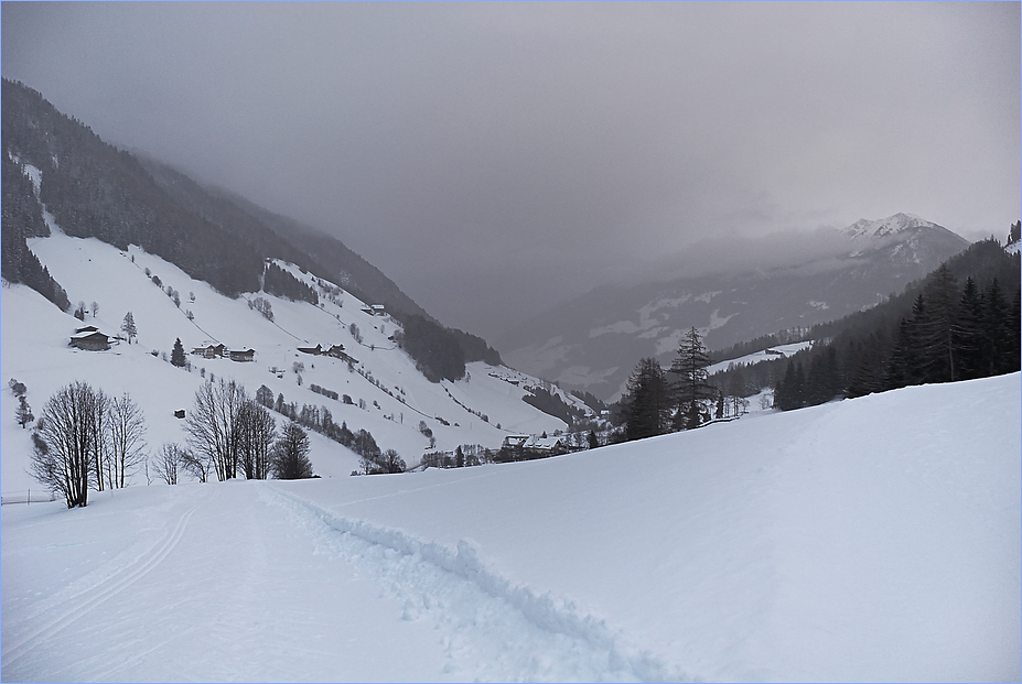 Alpine Staulage