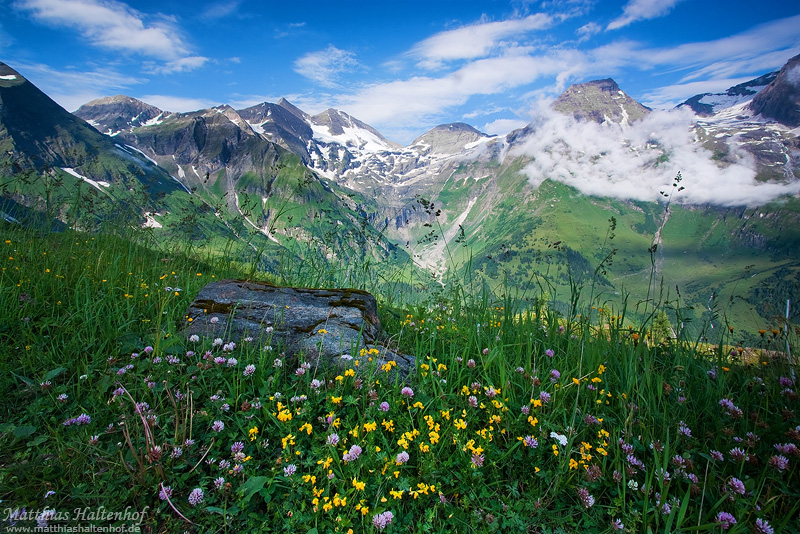 Alpine Summer