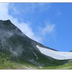 [ alpine summer snow banana ]