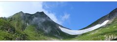 [ alpine summer snow banana ]