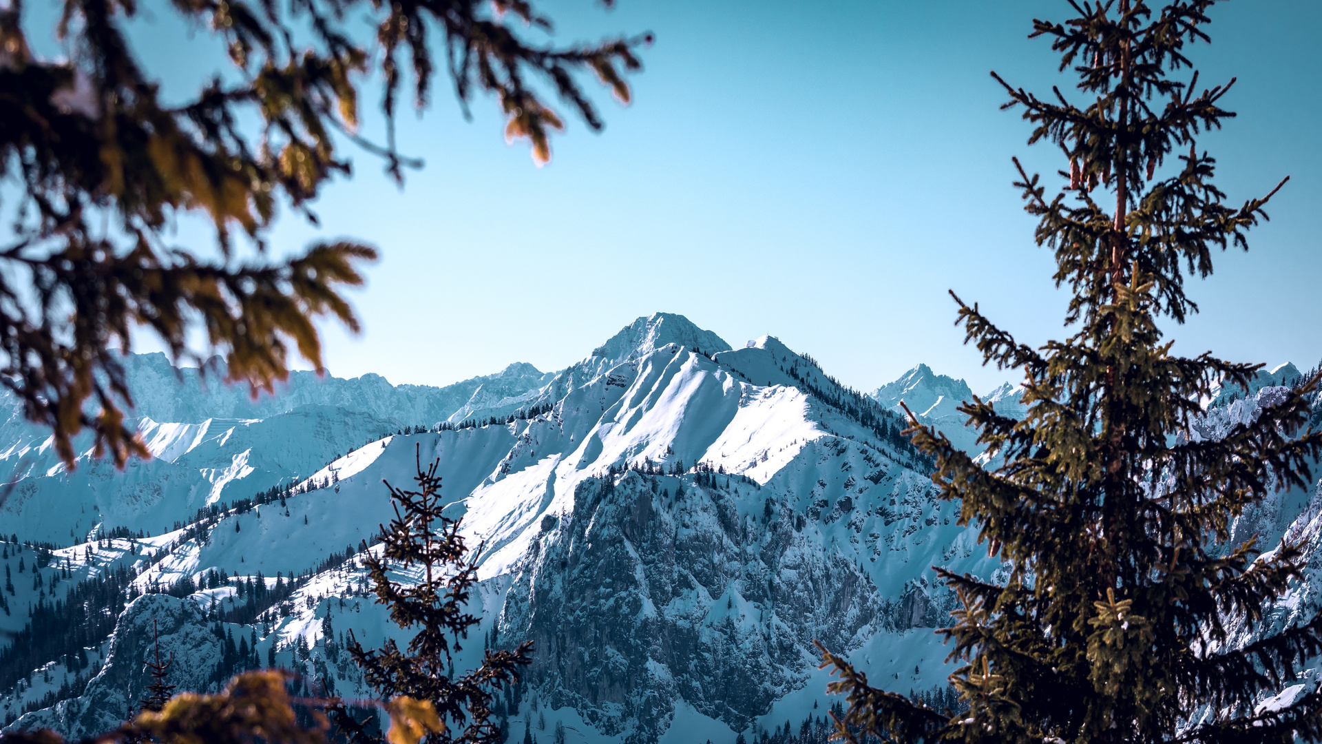 Alpine Winterlandschaft