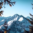 Alpine Winterlandschaft