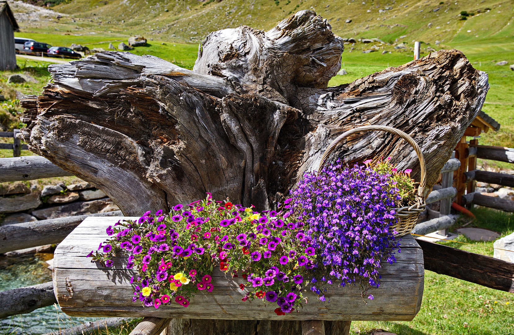 Alpiner Schmuck - Passeiertal - Südtirol