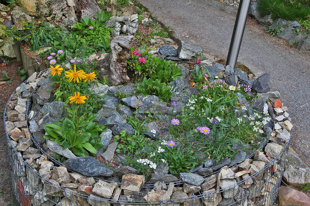 Alpinum Urgestein (sauer) im neuen Hochbeet