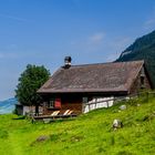 Alpkäserei Kleinhütten im Alpstein