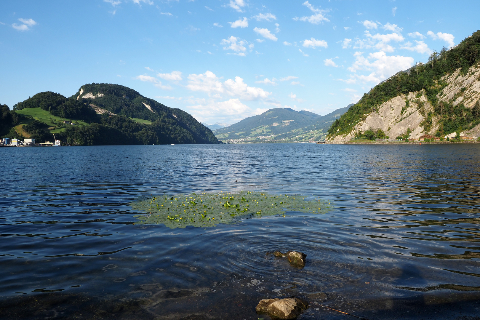 alpnachersee