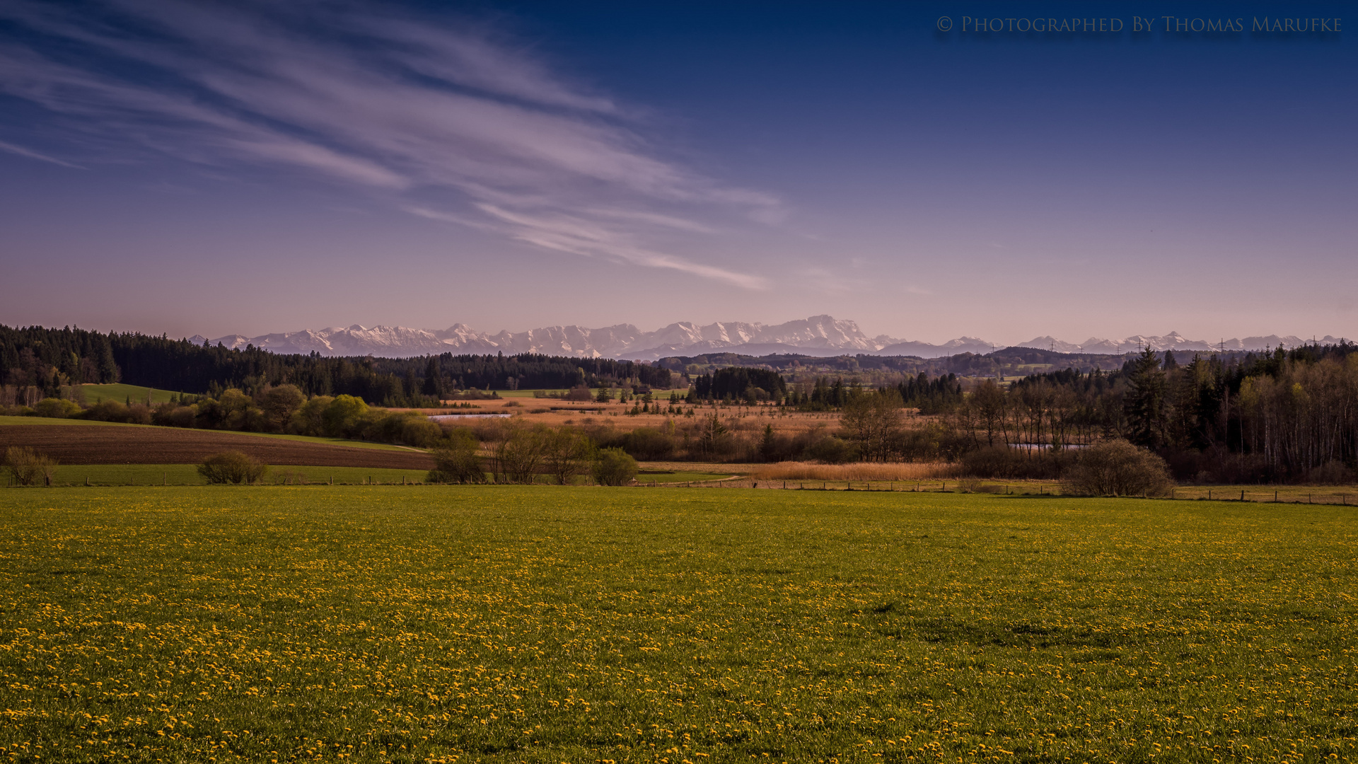 Alps Today