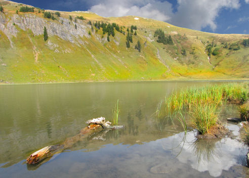 Alpsee