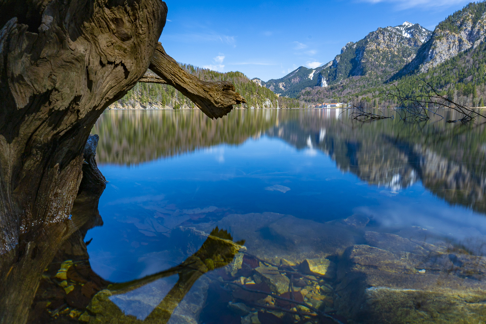 Alpsee