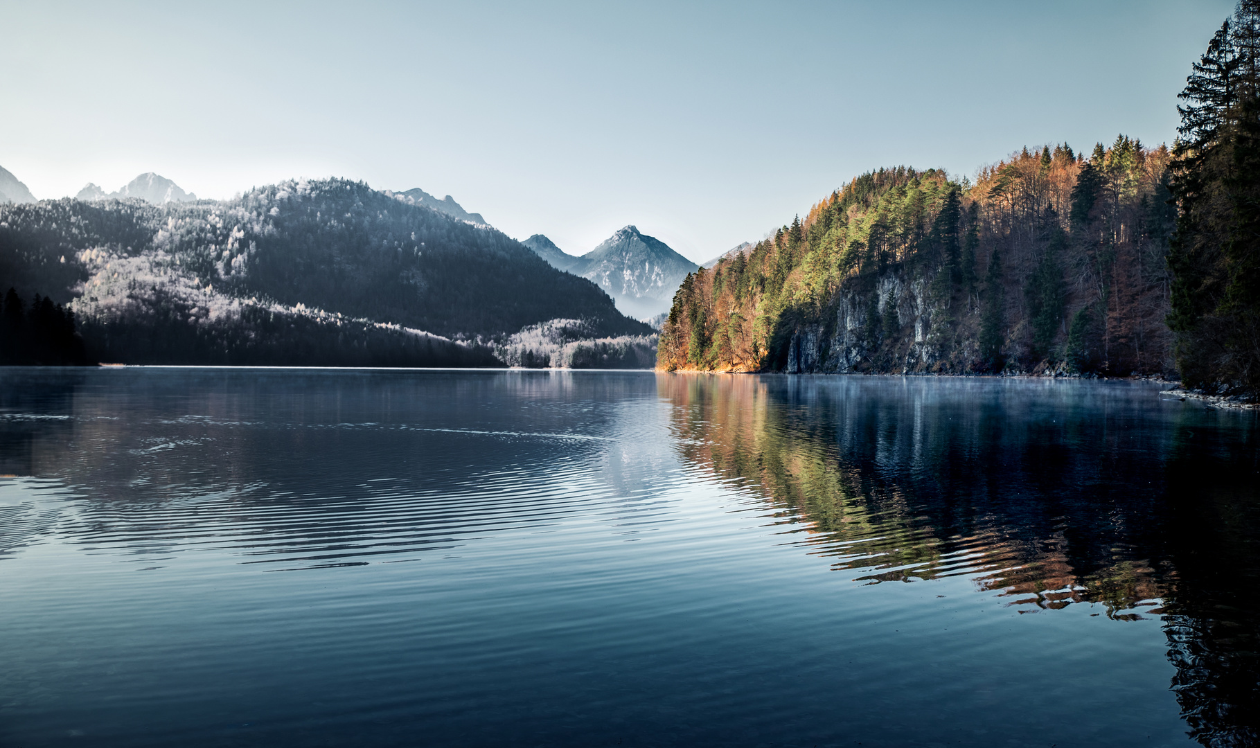 Alpsee