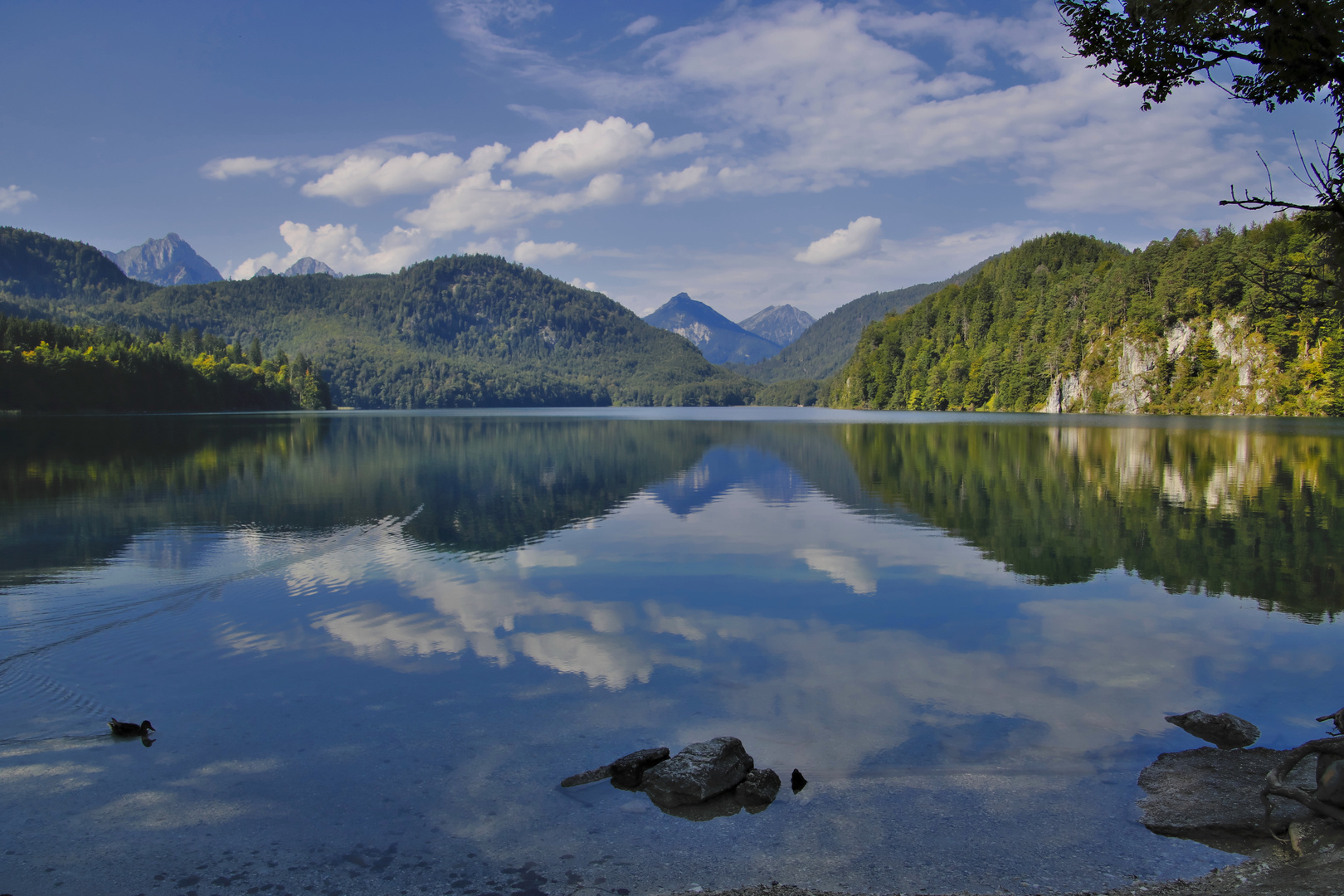 Alpsee als Spiegel