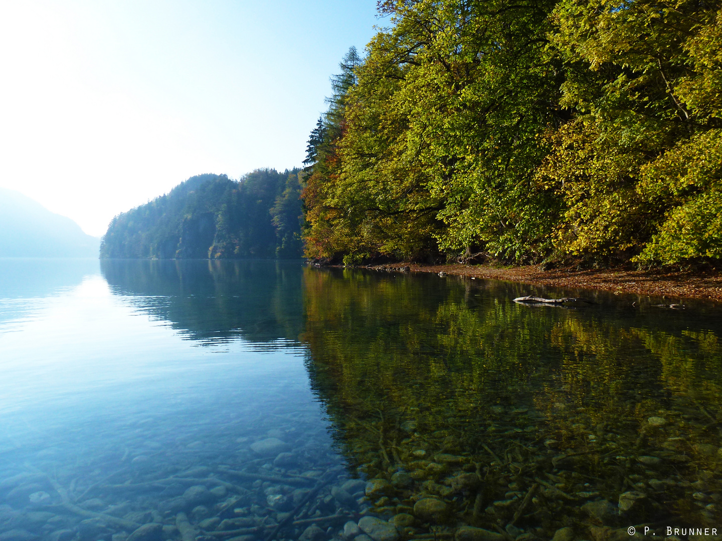 Alpsee am Schloss Neuschwanstein