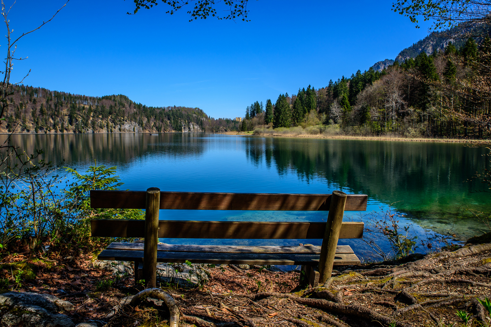 Alpsee, Bayern