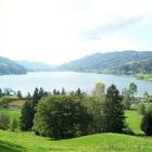 Alpsee bei Immenstadt