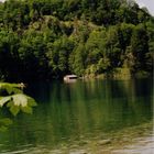 Alpsee bei Schloss Neuschwanstein.