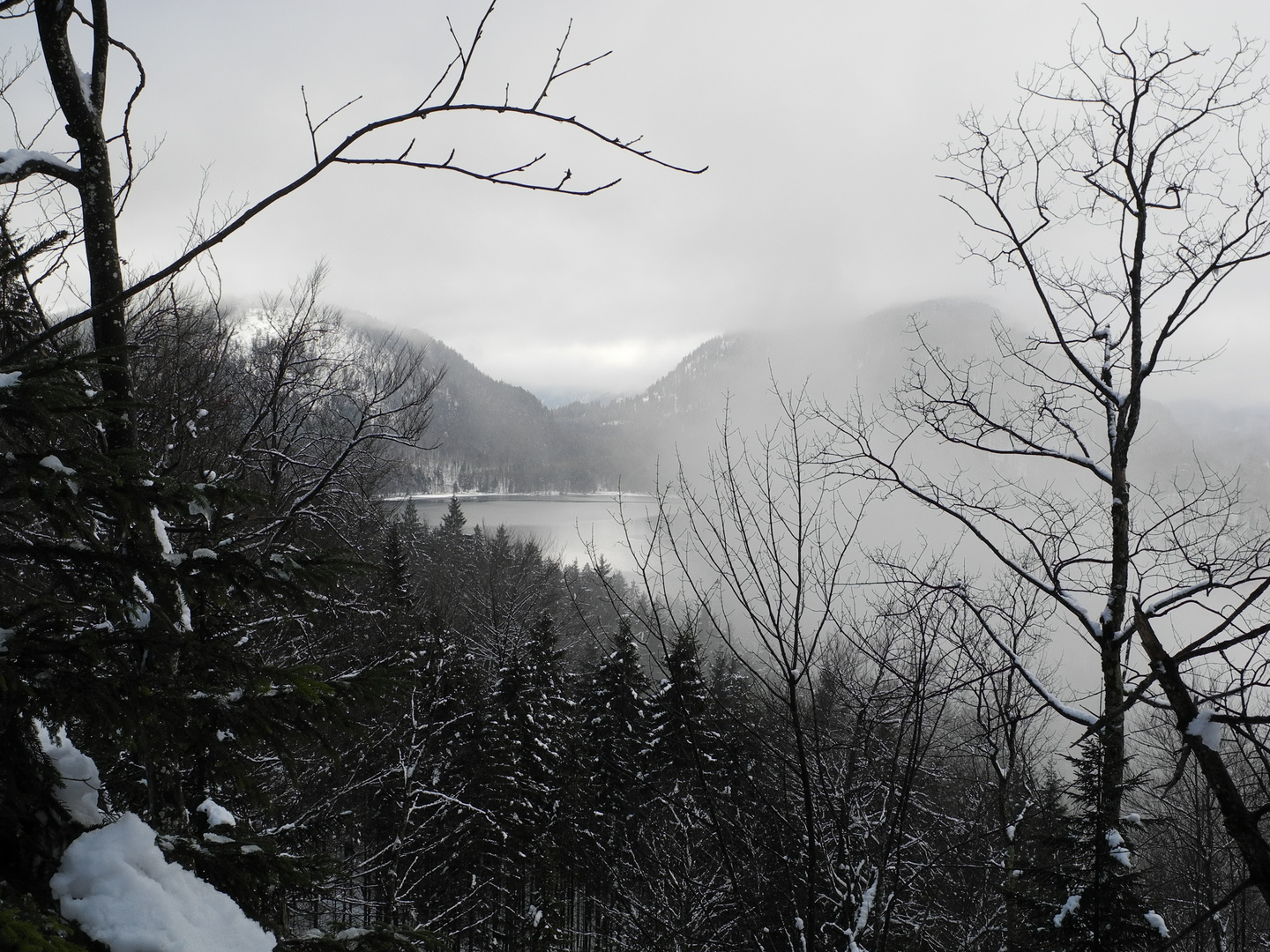 Alpsee bei Schwangau