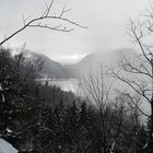 Alpsee bei Schwangau