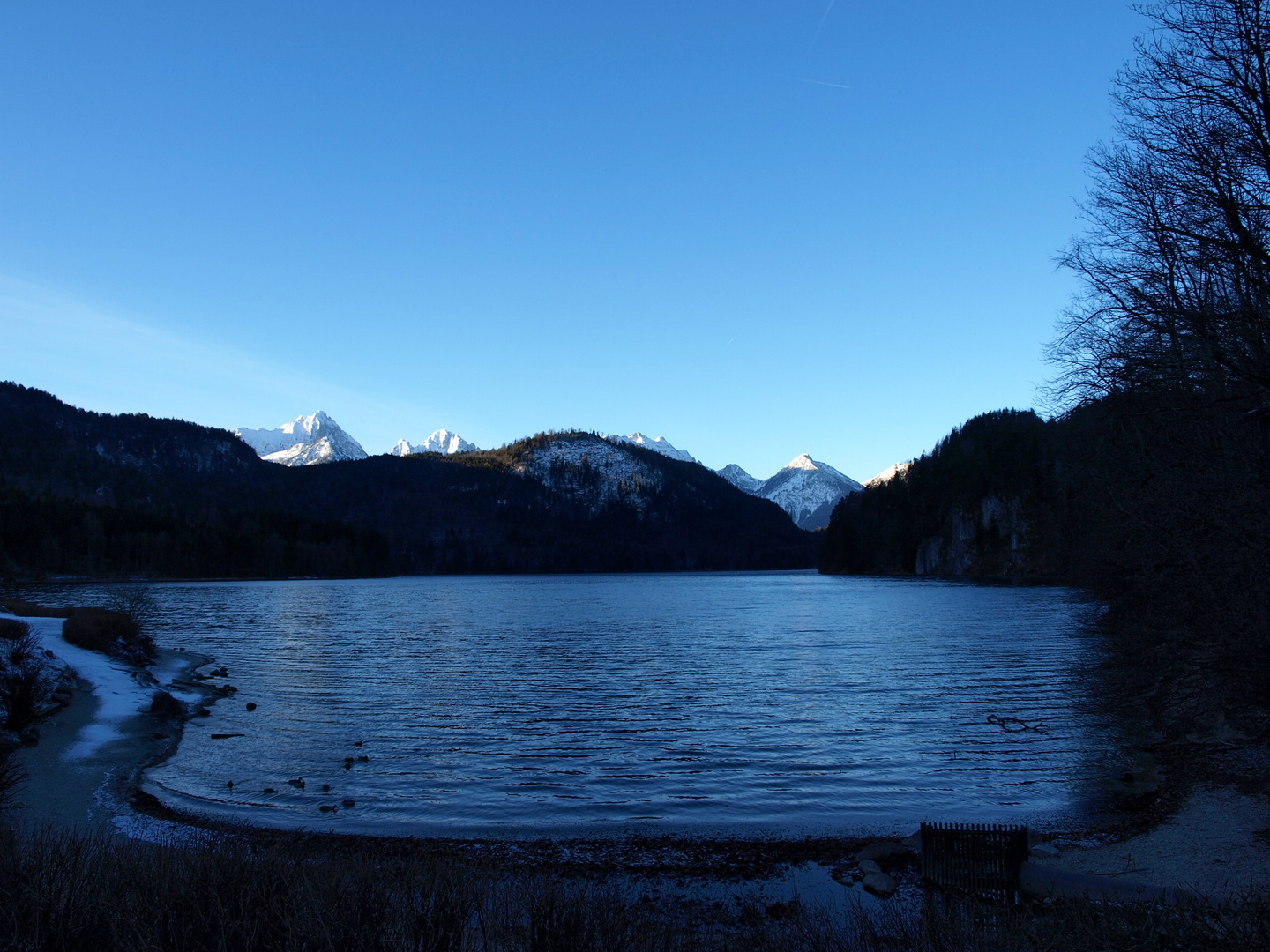 Alpsee beim Schloß Hohenschwangau