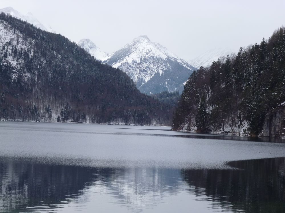 Alpsee