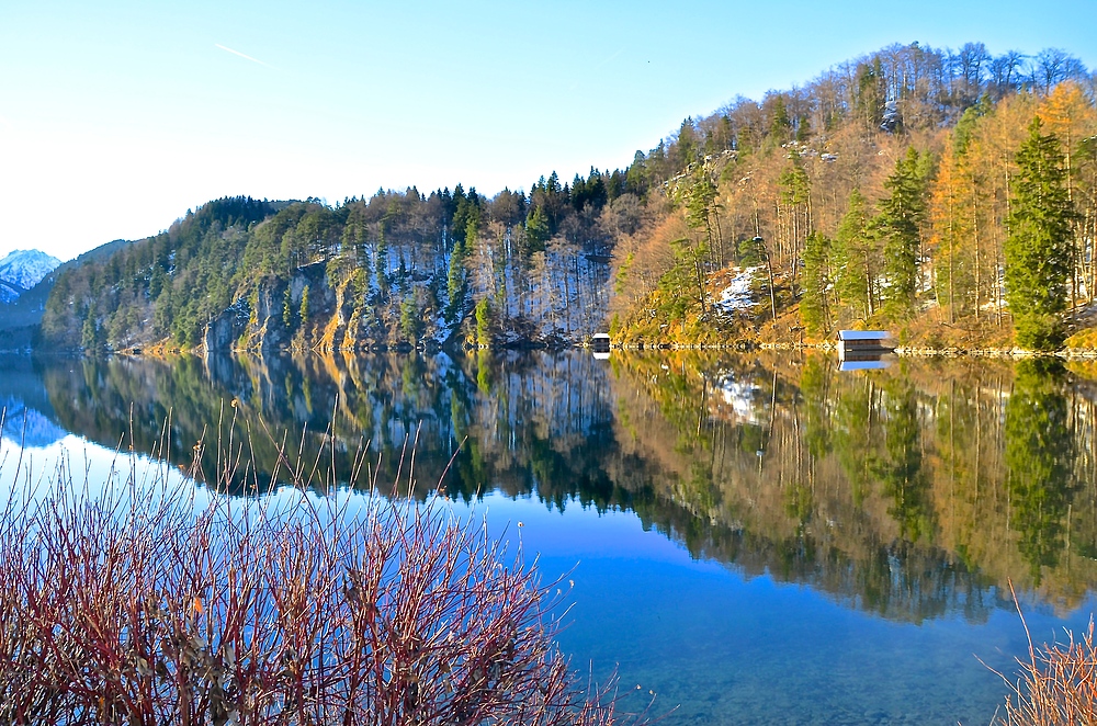 Alpsee