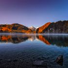 Alpsee