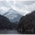 Alpsee