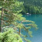 Alpsee