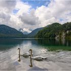 Alpsee