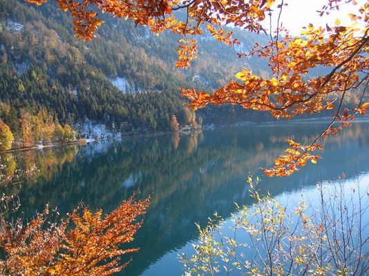 Alpsee Ende Oktober