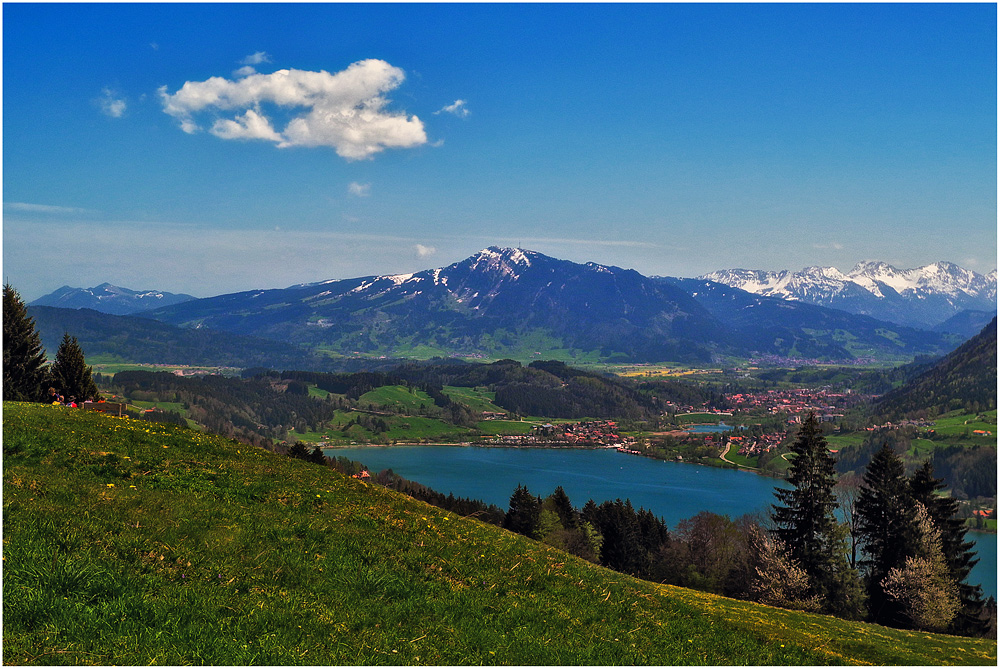 Alpsee-Grünten-Postkartenblick