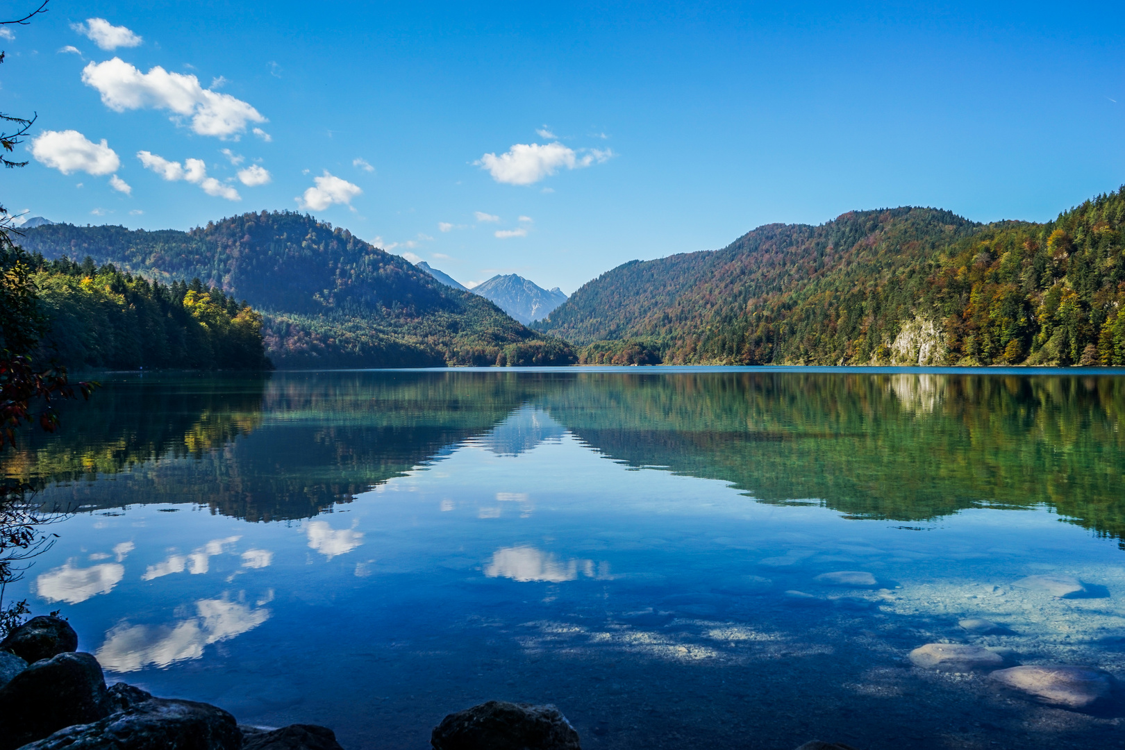 Alpsee im Herbst