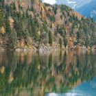 Alpsee im Herbst mit Spiegelung von Neuschwanstein