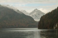 Alpsee im Nebel