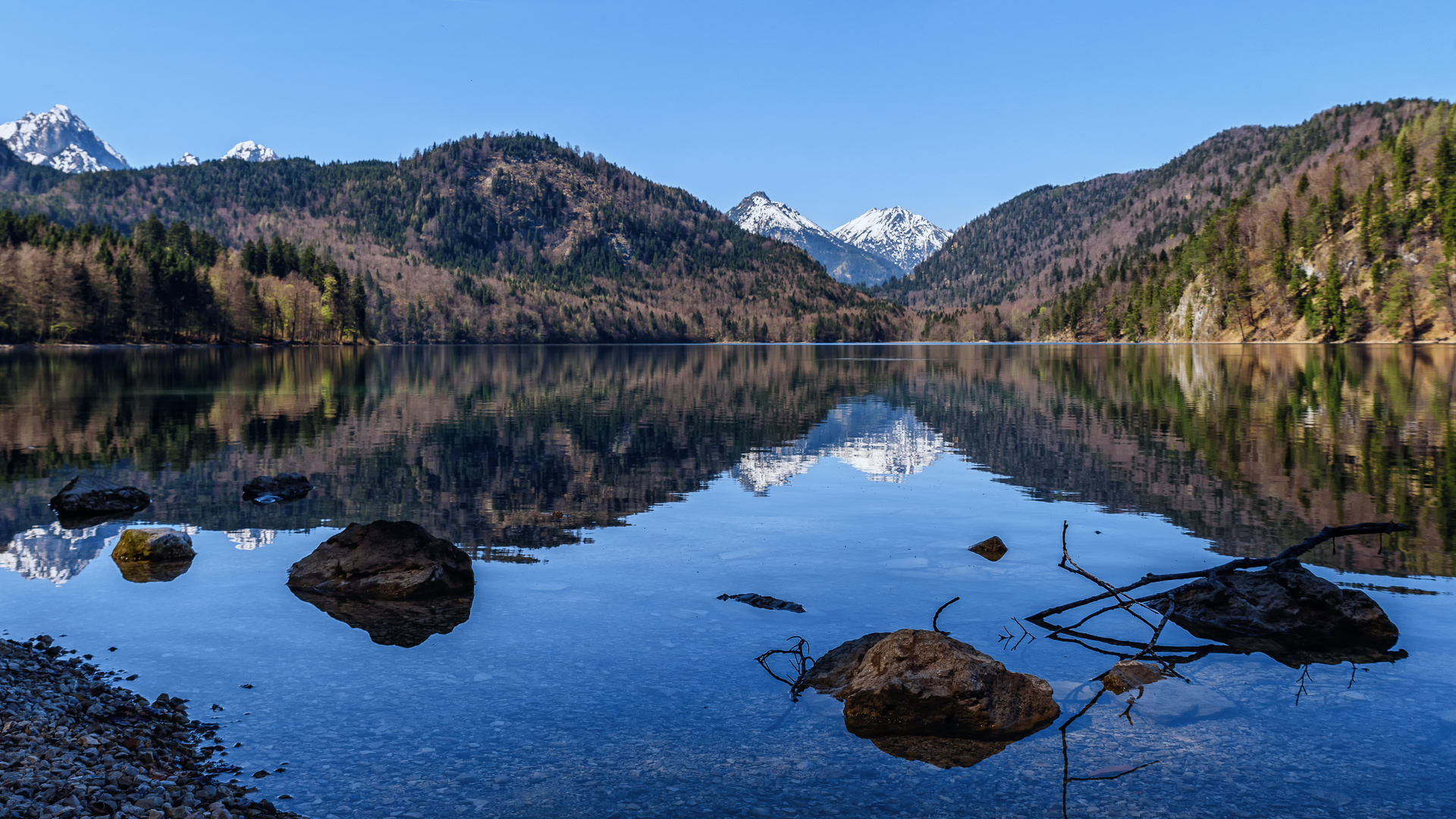 Alpsee, im Ostallgäu, Bayern