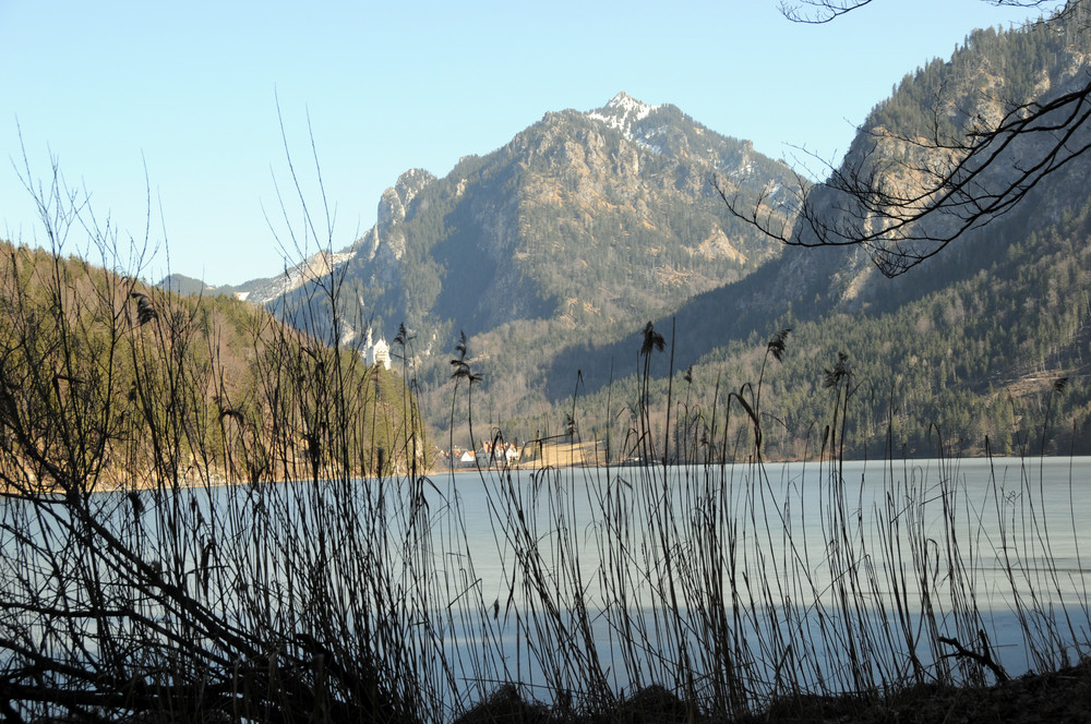 Alpsee im Winter