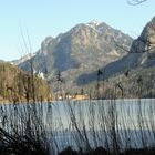 Alpsee im Winter