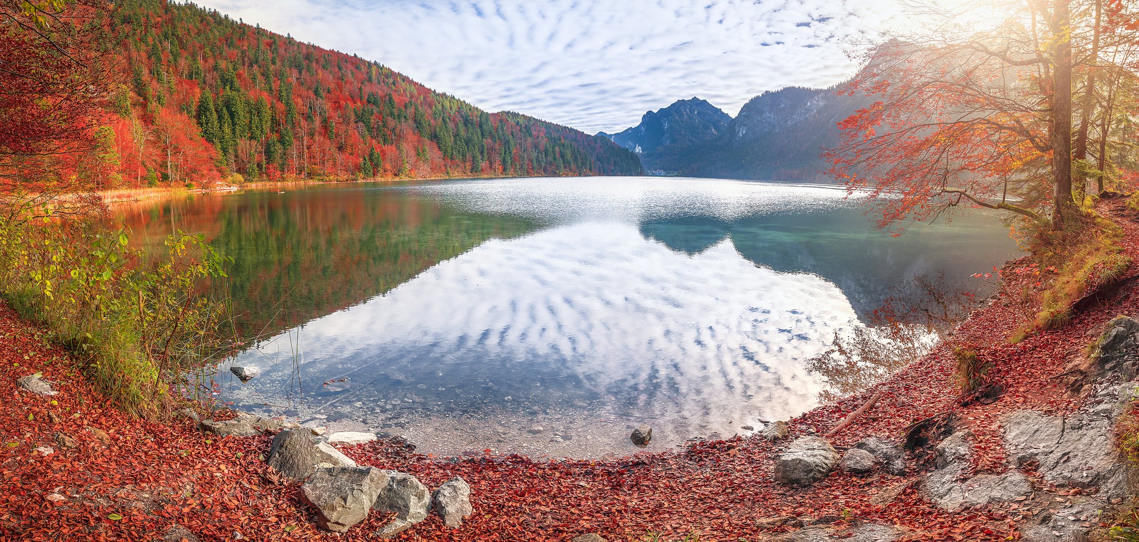 Alpsee lake in autumn colors