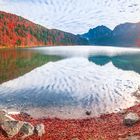 Alpsee lake in autumn colors