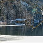 ALPSEE MIT BOOTSHAUS