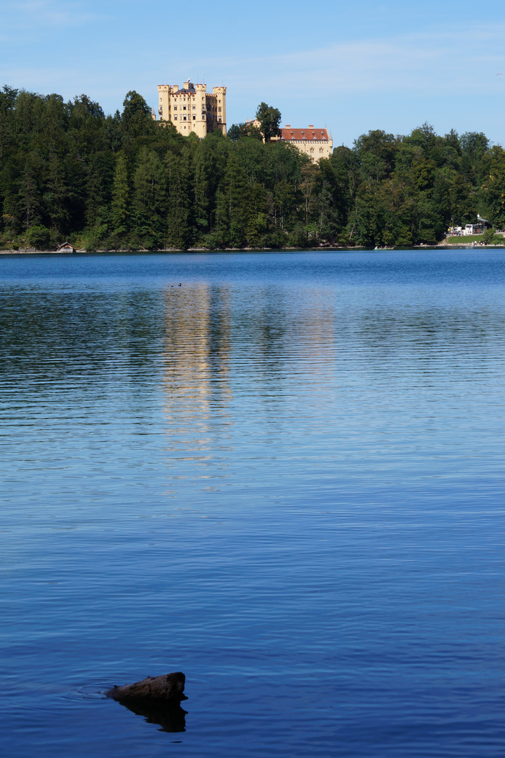 Alpsee mit Schloss