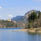 Alpsee mit Schloss Hohenschwangau