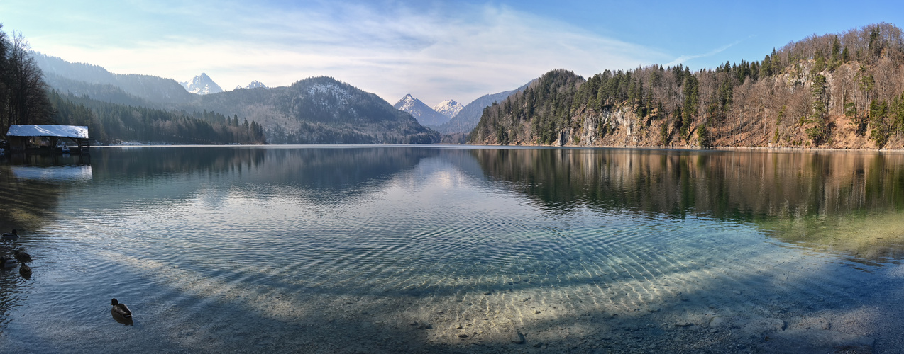 Alpsee Pano