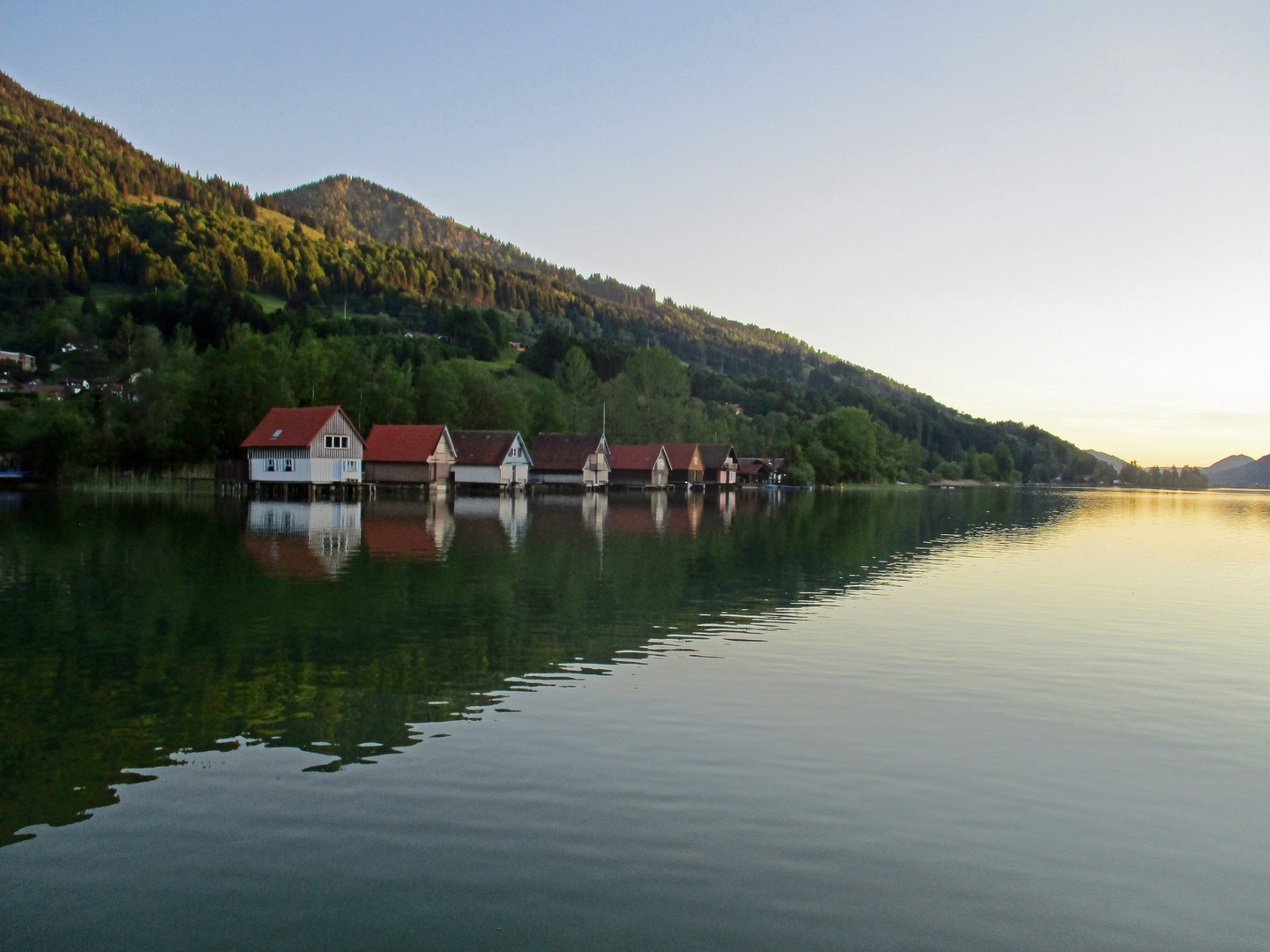 Alpsee Panorama