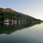 Alpsee Panorama